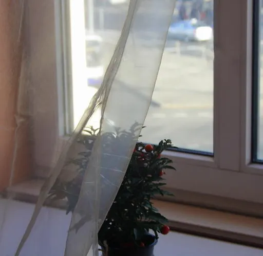 Baltic Hostel Hostel Riga